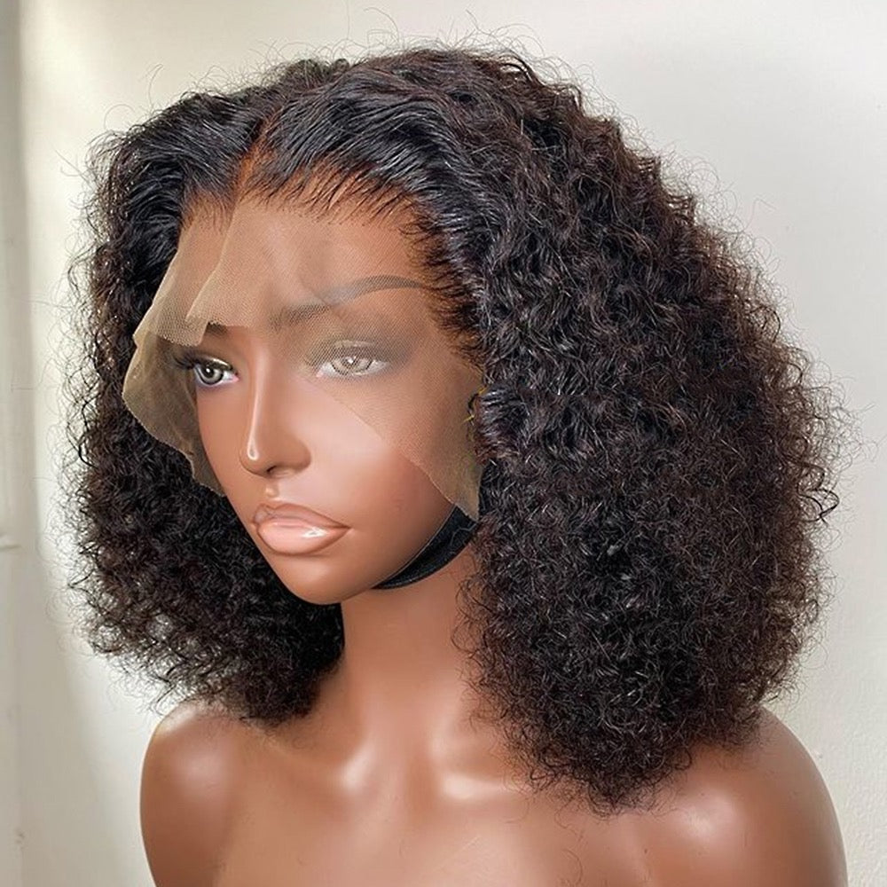 Afro Kinky Curly HD Lace Wigs